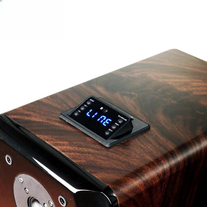 High Performance Active Karaok - Woofer recension och pris