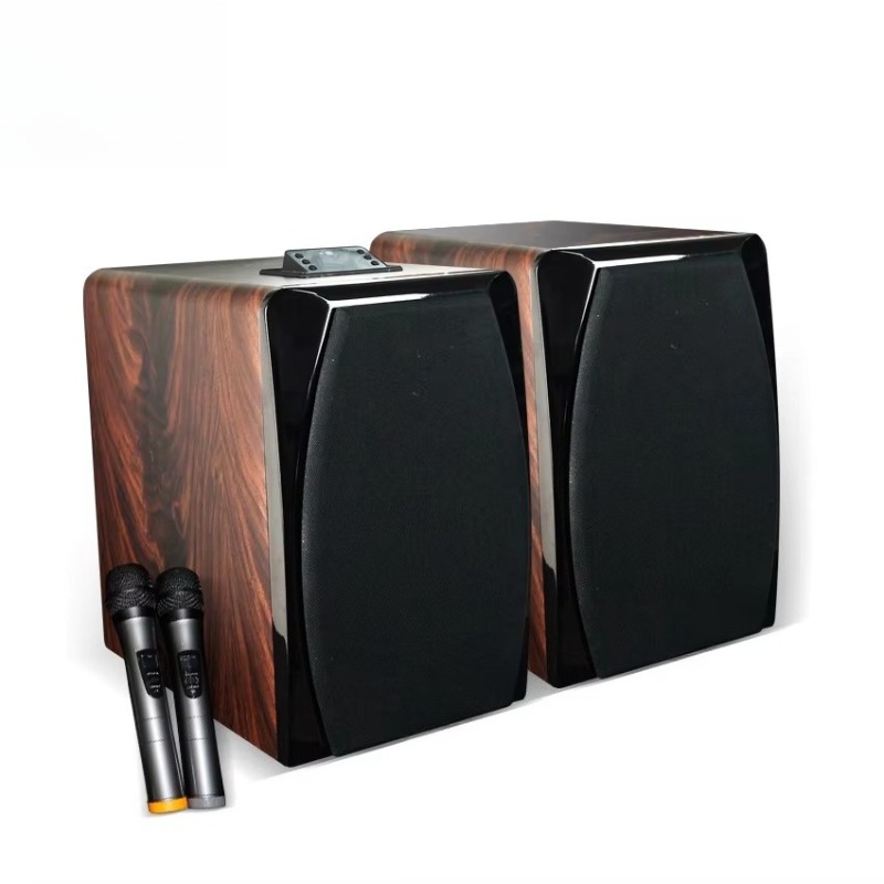 High Performance Active Karaok - Woofer recension och pris