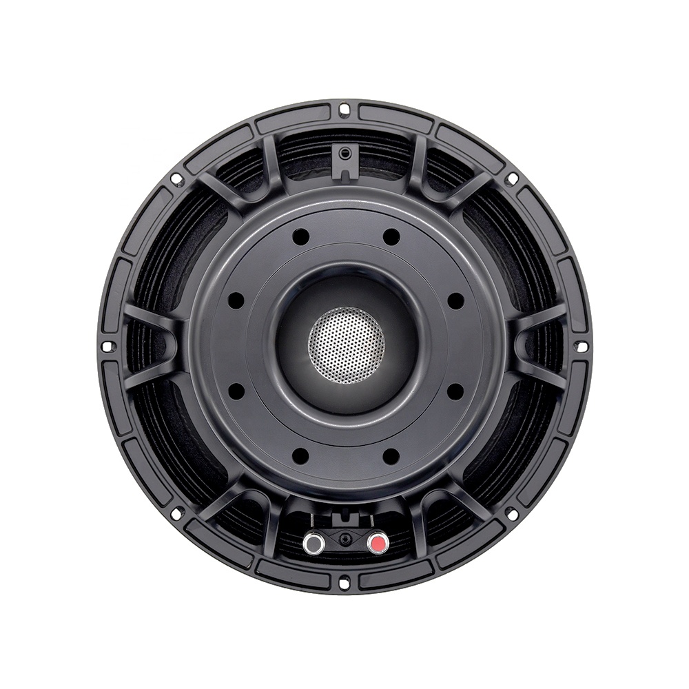 12DS Pro Audio Equipment 12''  - Subwoofer recension och pris