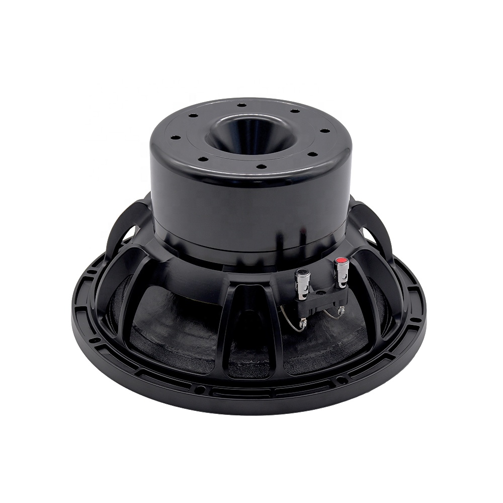12DS Pro Audio Equipment 12''  - Subwoofer recension och pris